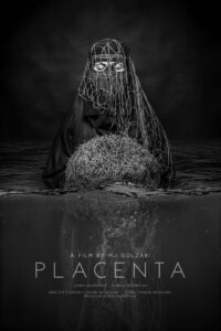 Placenta