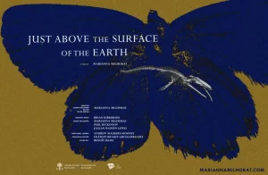 Just Above the Surface of the Earth (For a Coming Extinction)