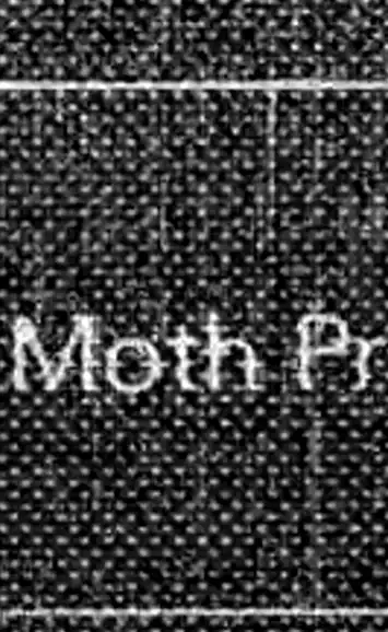 moth print