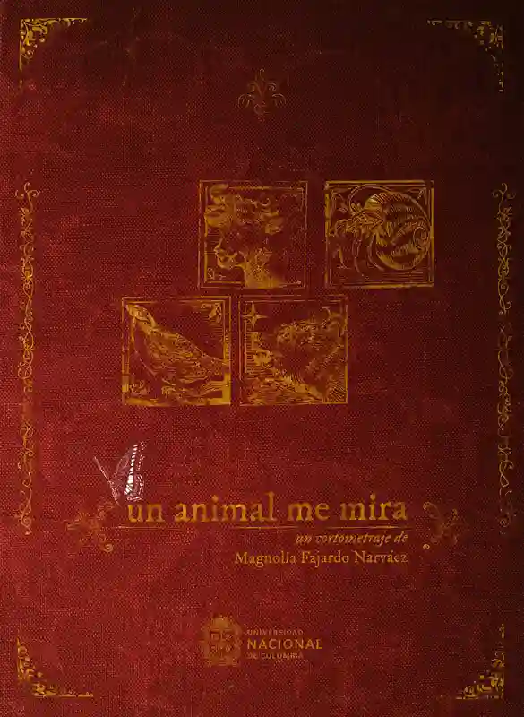 An animal looks at me