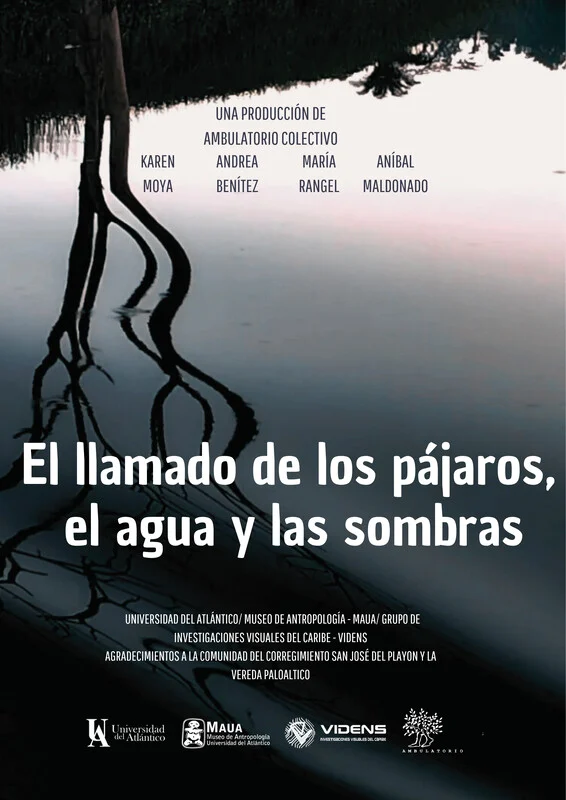 El llamado de los pájaros, el agua y las sombras