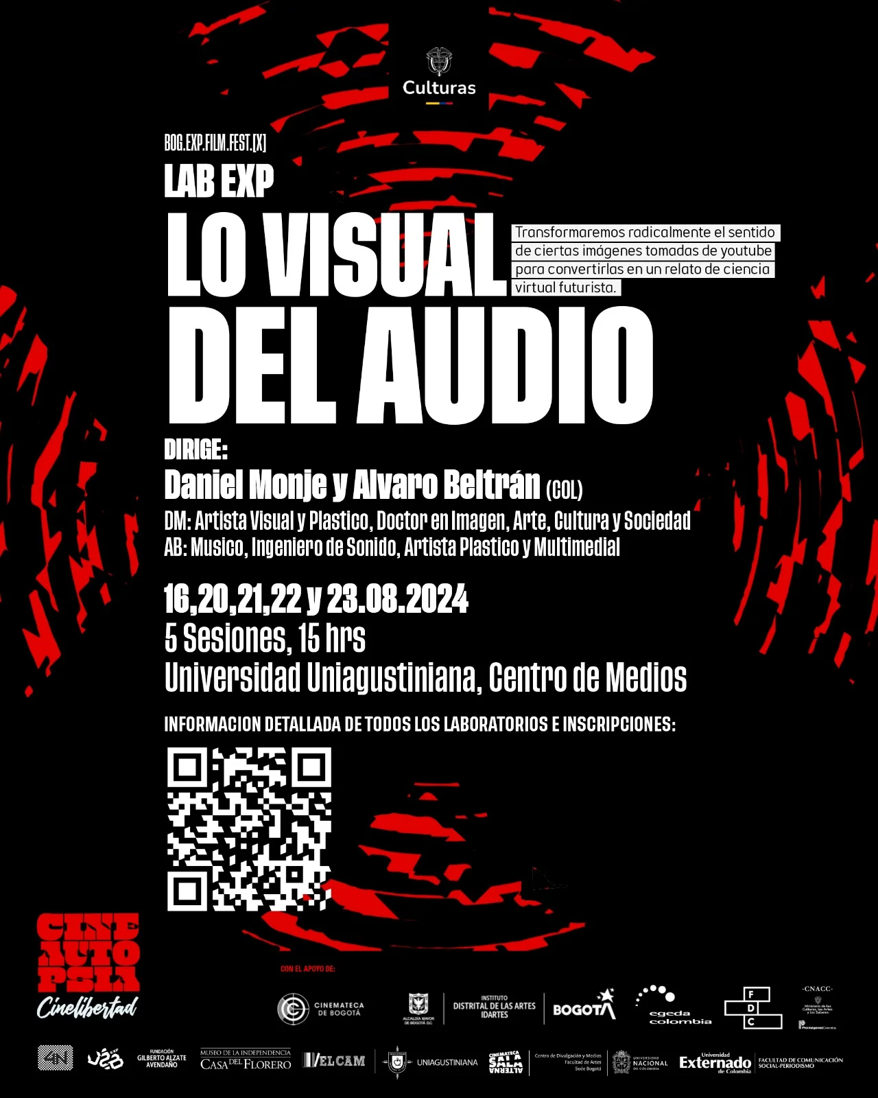 Lab Exp lo visual del audio